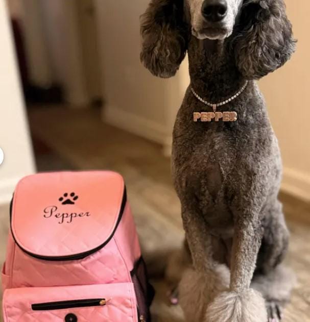 Personalized Pet Bag, Pet Tote, Dog Travel Bag, Dog Owner, Pet Backpack Travel Bag, Pet Bag with BOWLS, New puppy