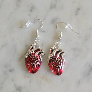 Anatomical heart earrings