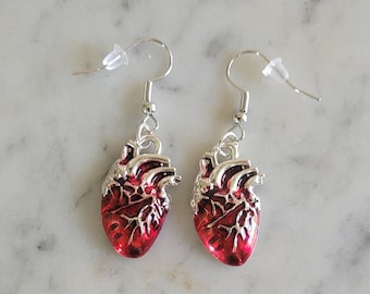 Anatomical heart earrings