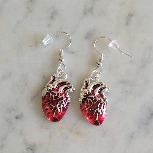 Anatomical Heart Earrings - Etsy