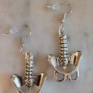 Pelvic region, anatomy earrings