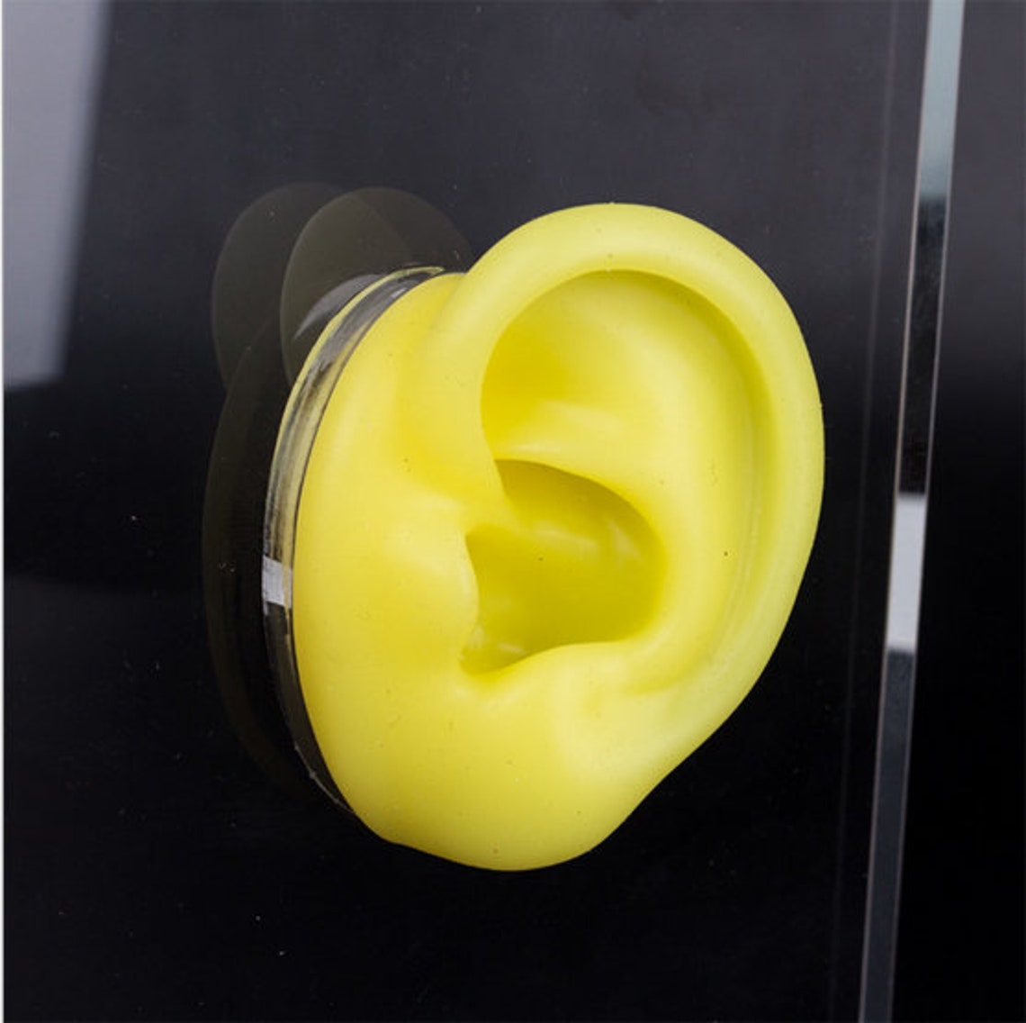 Display Case Display Stand Prosthetic Ears Silicone Ears Etsy