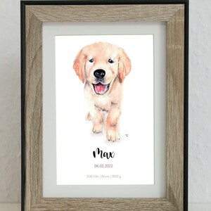 Birth Poster Dog / Personalized Poster of Hand-Painted Golden Retriever / Baptism Child / Individual Gift for Birth