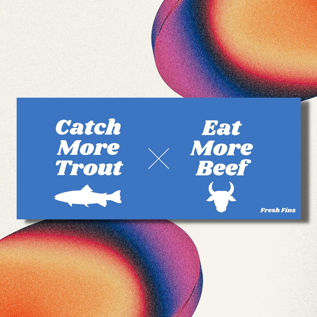 Catch More Trout Eat More Beef Bumper Sticker, Fly Fishing Sticker