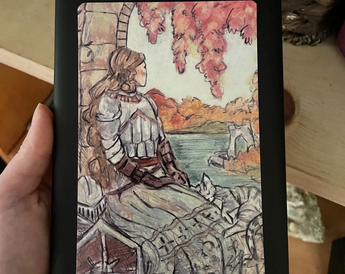 Lady Knight and Cat Sticker Sized for Kindle Ebook Readers - Etsy