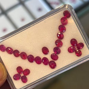 Könnte beinhalten: Ein durchsichtiger Kunststoffbehälter enthält eine Sammlung oval geschliffener, tiefroter Rubine. Die Edelsteine sind in einer gebogenen Linie und in Clustern angeordnet, wodurch ihre polierten Facetten und ihre lebendige Farbe hervorgehoben werden. Der Hintergrund ist ein neutrales Beige.