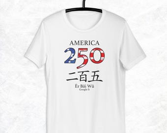 Maglietta unisex America 250 FDT Secret Message No Kings