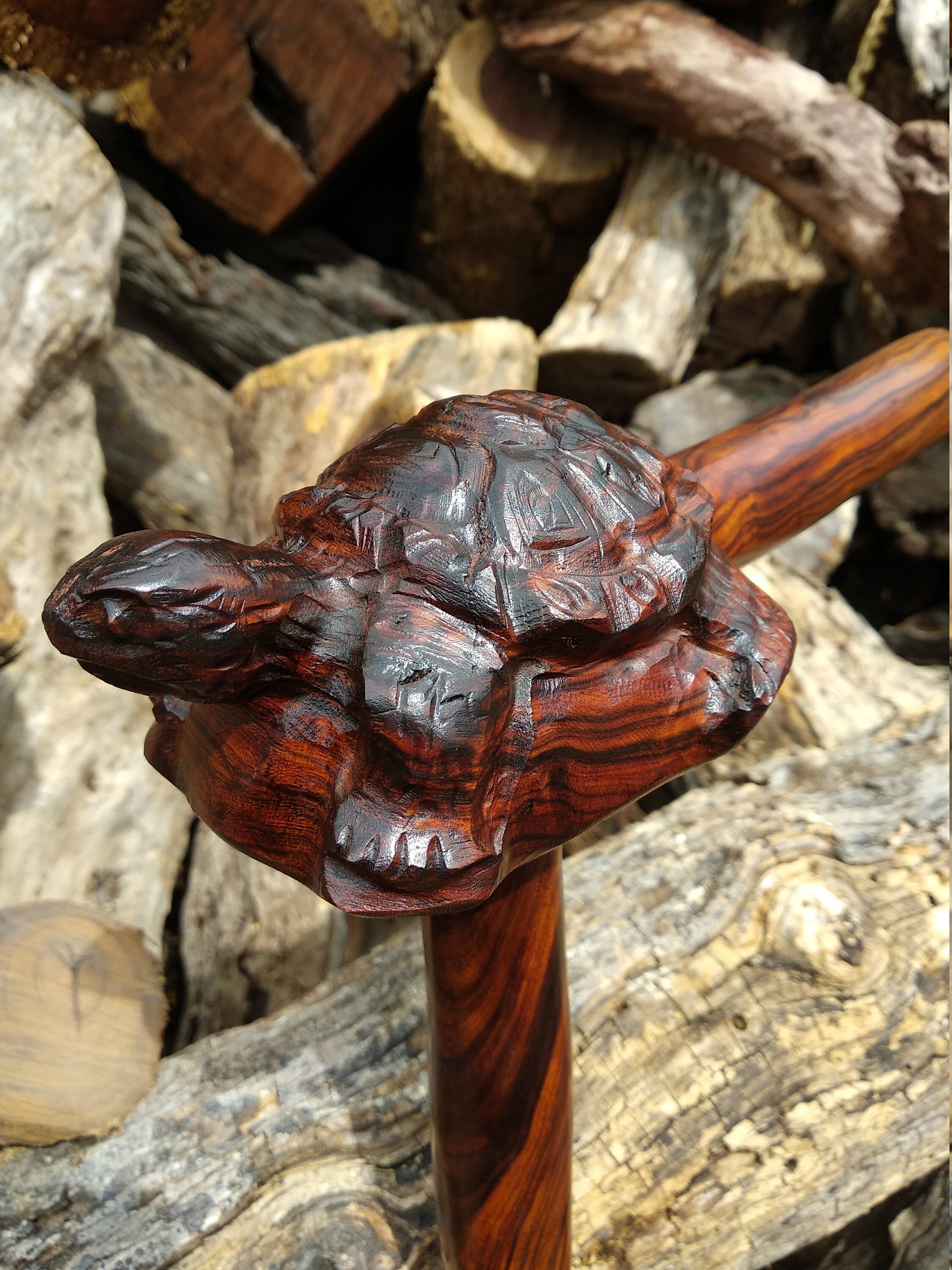 Walking Stick Carved Cane Iron Wood Turtle Design Etsy