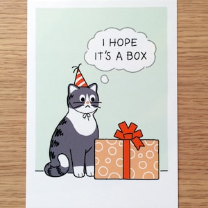 Carte d'anniversaire chat - J'espère que c'est une boîte