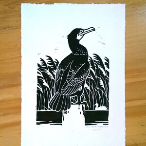 Skarv Linocut A4 - fågelaffisch | naturtryck | Kormoran Linolschnitt Not included