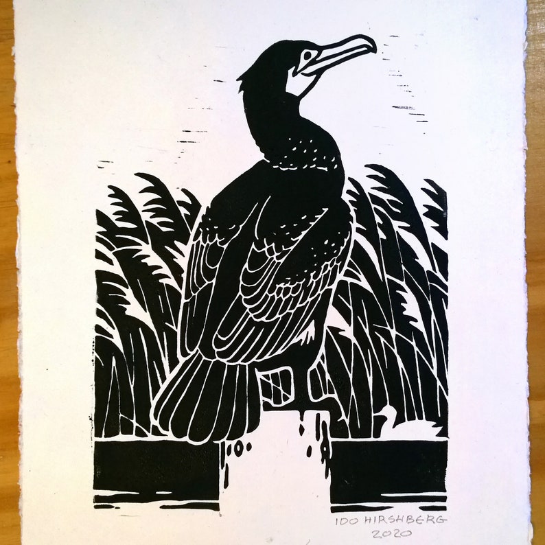 Skarv Linocut A4 - fågelaffisch | naturtryck | Kormoran Linolschnitt bild 3