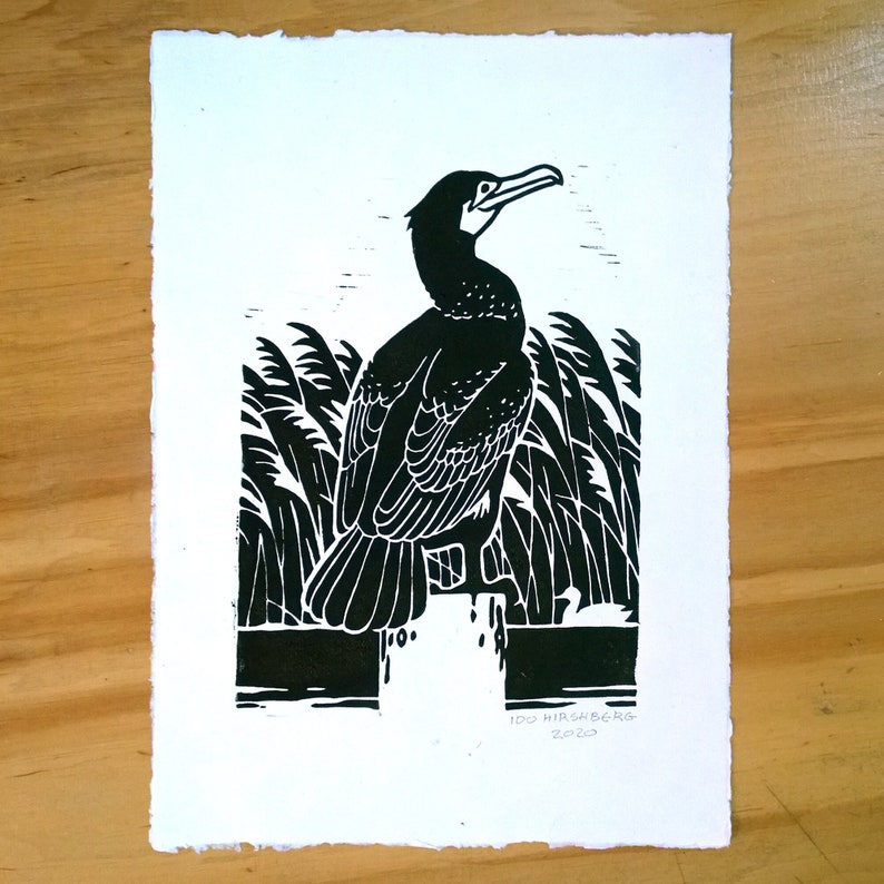 Skarv Linocut A4 - fågelaffisch | naturtryck | Kormoran Linolschnitt Not included