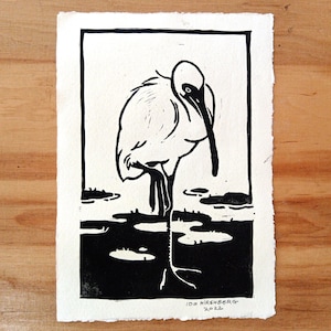 May include: Black and white woodcut print of a bird standing in a marsh. The bird has a long neck and beak, and its legs are long and thin. The print is signed "IDS HIRSHBERG 2022".