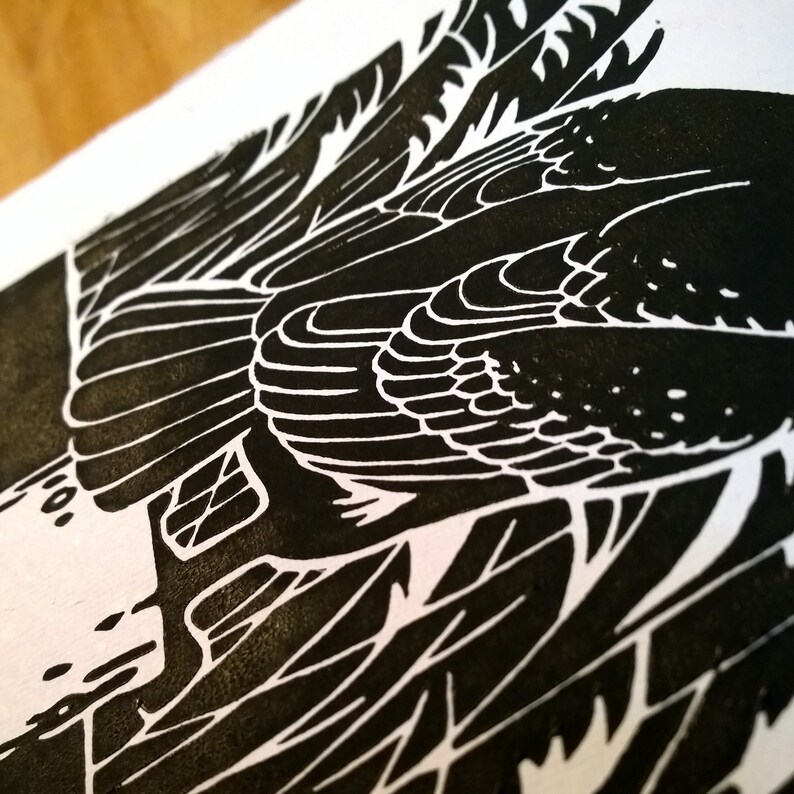 Skarv Linocut A4 - fågelaffisch | naturtryck | Kormoran Linolschnitt bild 4