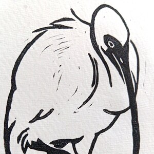 May include: Black and white line art print of a bird with its head tucked under its wing.