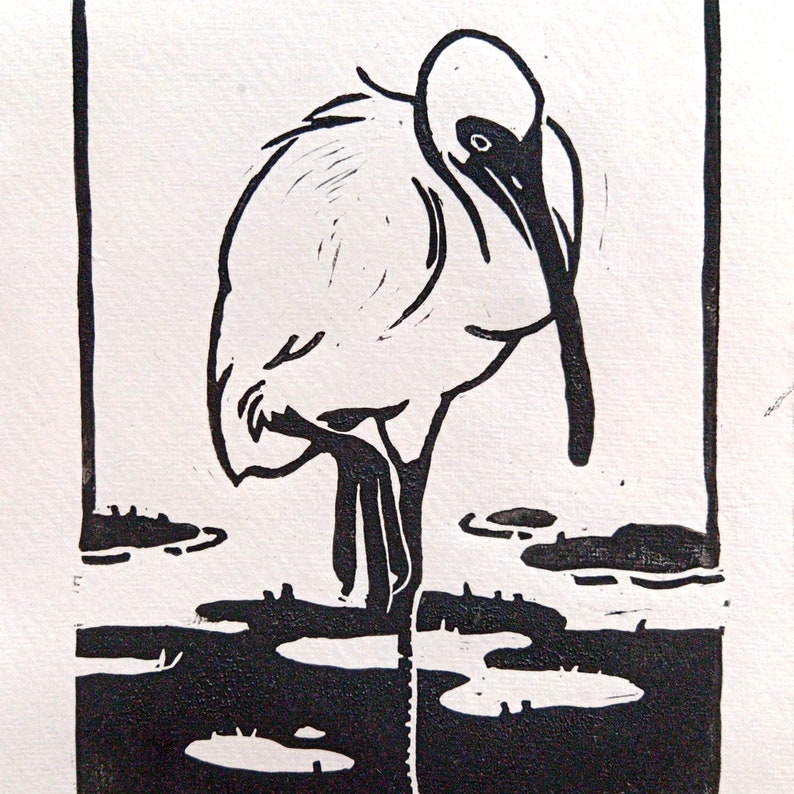 May include: Black and white linocut print of a bird standing in a pond. The bird has a long neck and beak and is facing to the left. The pond is filled with lily pads.