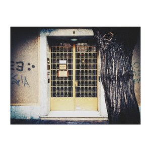 May include: A yellow door with a metal grate design and a number "6" above it. The door is partially obscured by a tree trunk.
