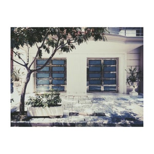 May include: Two large, double glass doors with a silver frame, set into a white wall. The doors are closed and have a frosted glass look. A tree with green leaves is in the foreground.
