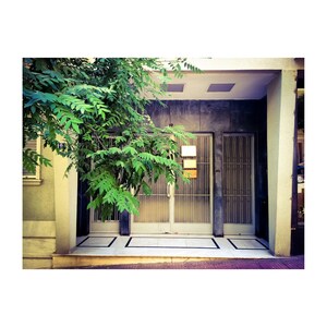 May include: A storefront with a green tree in front of it. The storefront has two large glass doors with metal bars and a white tiled floor.