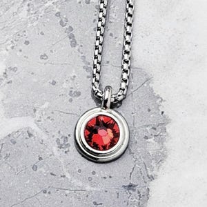 May include: A silver chain necklace with a round pendant featuring a red gemstone.