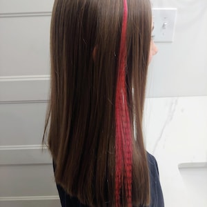 May include: A person with long brown hair with a single pink streak of hair dye.