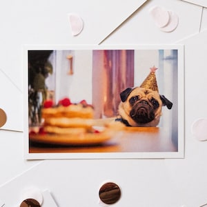 Pug verjaardagskaart DIN A6 hondenliefhebber fotografie ansichtkaart 1e verjaardag | Grappige Happy Birthday wenskaart Gefeliciteerd kaart vrienden