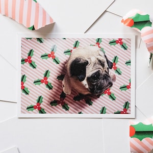 03 Carte de Noël Carlin Carte postale Chien de Noël Carte drôle Carlin de Noël Carte de Noël chien fait à la main Carte postale Carlin de Noël