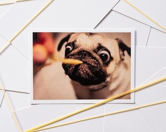 Postcard pug funny card dog pasta pug kitchen card dog kitchen postcard dog greeting card dog friend card pug photo funny card cook