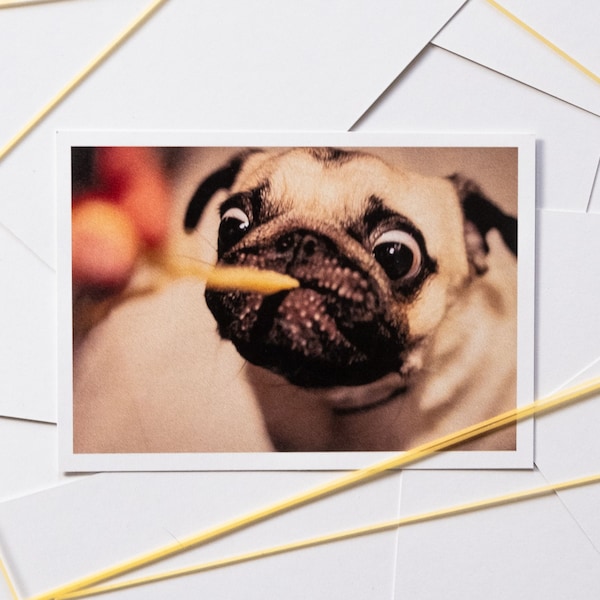 Postkarte Mops lustig Karte Hund Nudeln Mops Küche Karte Hund Küche Postkarte Hund Grußkarte Hundefreund Karte Mops Foto lustig Karte Koch