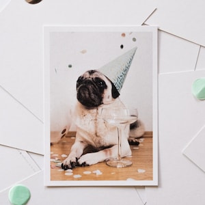 03 Cartolina compleanno Carlino Biglietto divertente Compleanno cane Carlino 1 Biglietto di compleanno Cartolina compleanno cane Biglietto d'auguri cane Biglietto amico cane