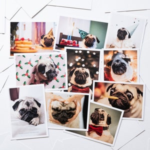 Mops Postkarten Lustiges 10er-Set Grußkarte A6 Geburtstagskarte Ostern | Haustier Fotografie Karte Hundeliebhaber Glückwunschkarte Freunde