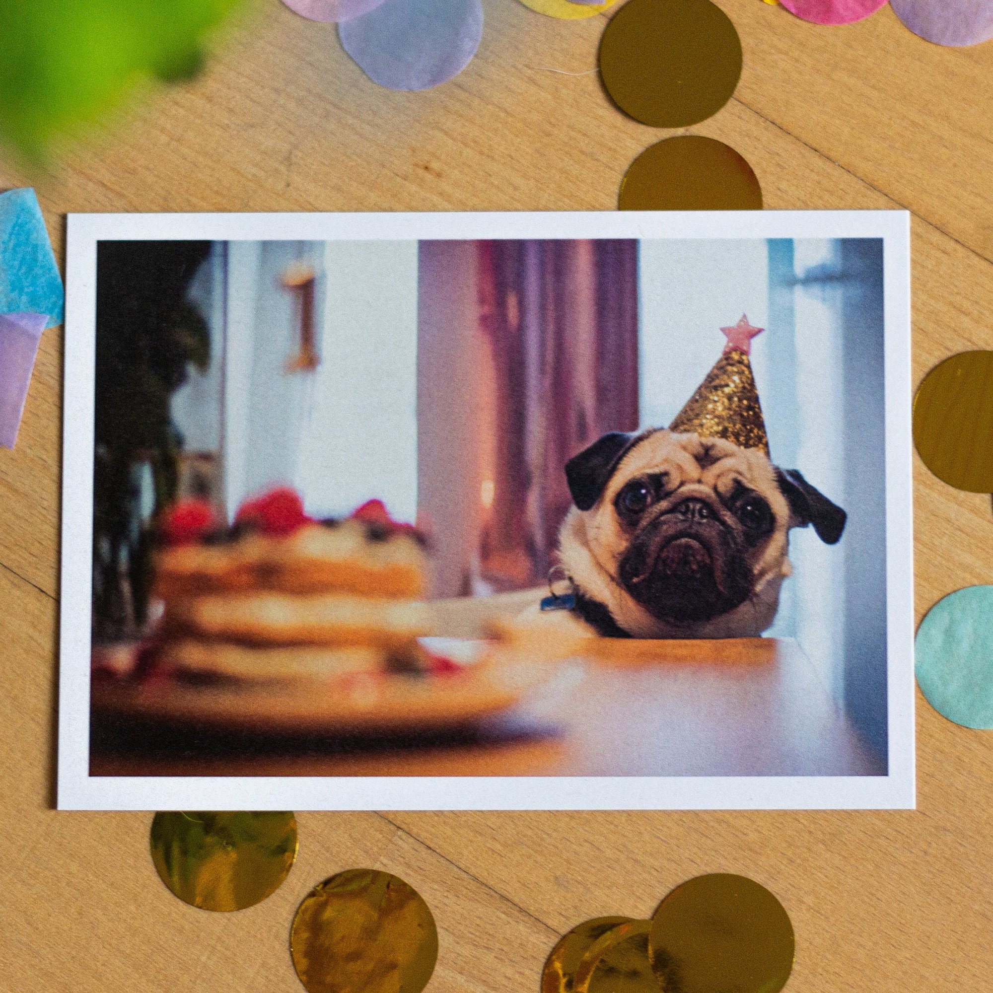GeburtstagsMops Postkarte Mops Geburtstag Erster Etsy