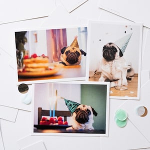 Ensemble de 3 | Carte postale anniversaire carlin carte drôle chien anniversaire carlin anniversaire chien carte postale chien carte de voeux chien carte ami