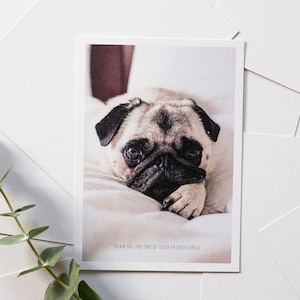 Mops Postkarte DIN A6 Hundeliebhaber Fotografie Postkarte Liebe | Lustige Valentinstag Grußkarte Glückwunschkarte Freunde Titanic