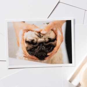 Postal Pug Tarjeta del Día de San Valentín Perro Bañera Tarjeta Pug Perro Amor Postal Perro Tarjeta de Felicitación Perro Amigo Tarjeta Pug Foto Divertida