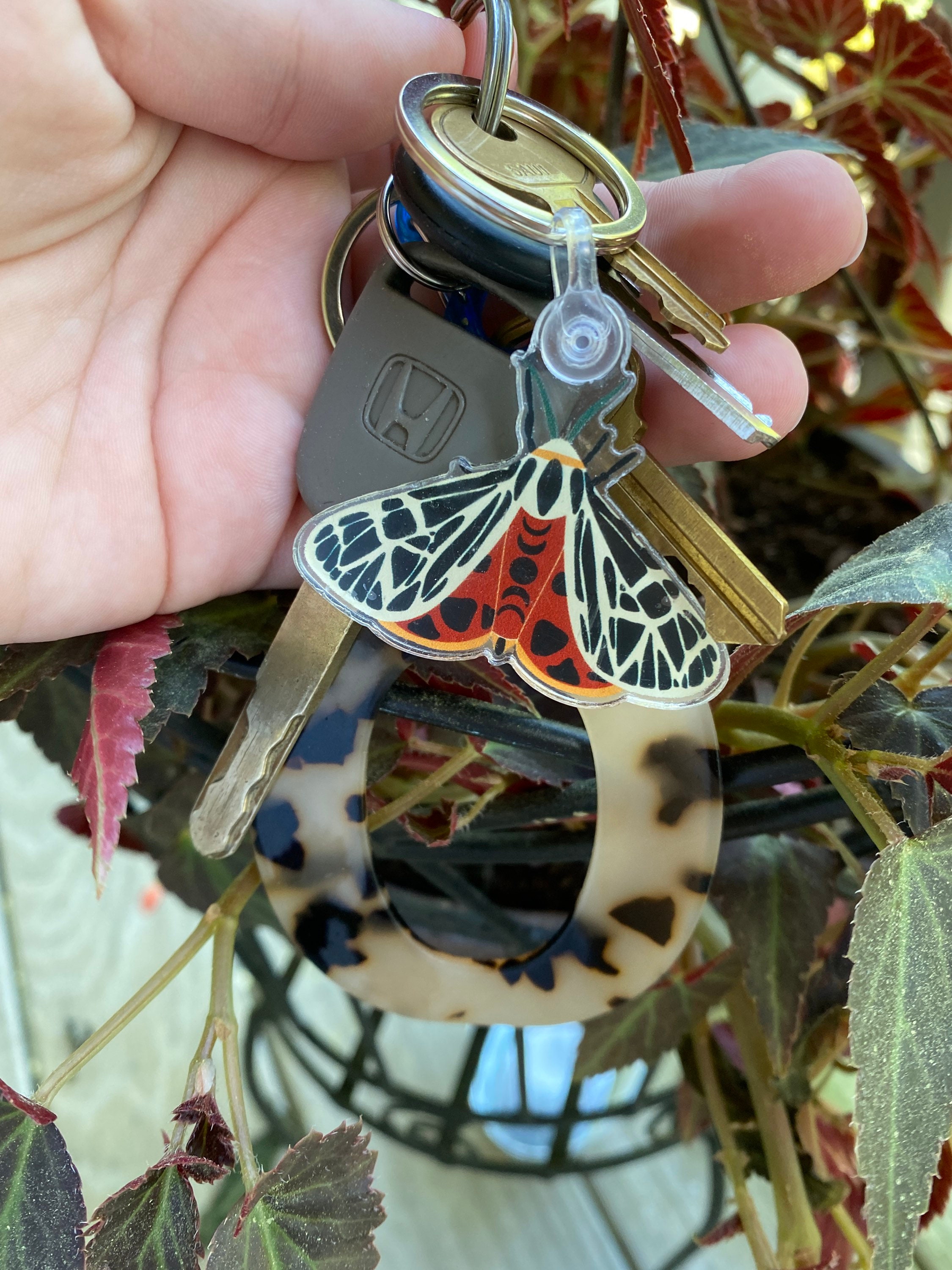 Moth Acrylic Keychain with Silver Split Ring Key Accessories Etsy