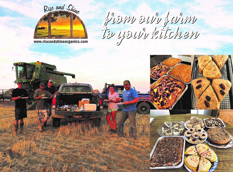 May include: A group of people stand in a field with a combine harvester and a pickup truck in the background. The truck has a cooler in the bed. The people are holding plates of food. The text "Rise and Shine" and "from our farm to your kitchen" is visible in the image. The website address "www.riseandshineorganics.com" is also visible. The image also shows a variety of baked goods, including cakes, pies, and cookies.