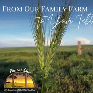 Certified 100% Organic Non - GMO Hard Red whole wheat bread flour. Unbleached Unifine. image 10