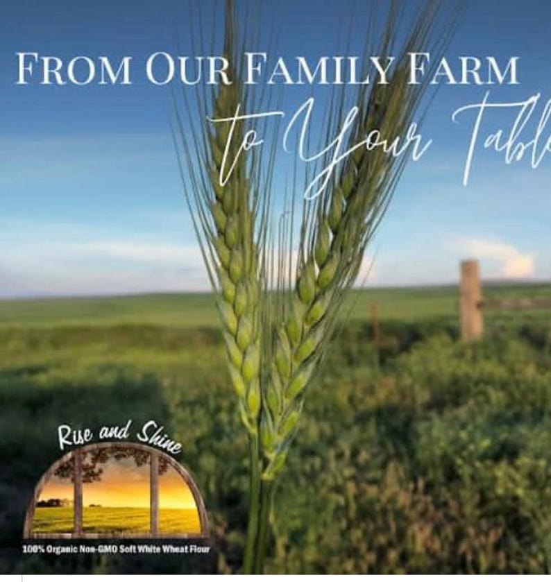 Certified 100% Organic Non - GMO Hard Red whole wheat bread flour. Unbleached Unifine. image 10