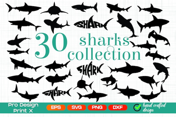 Download Shark Svg Shark Silhouette Sharks Bundle Shark Cut File Etsy