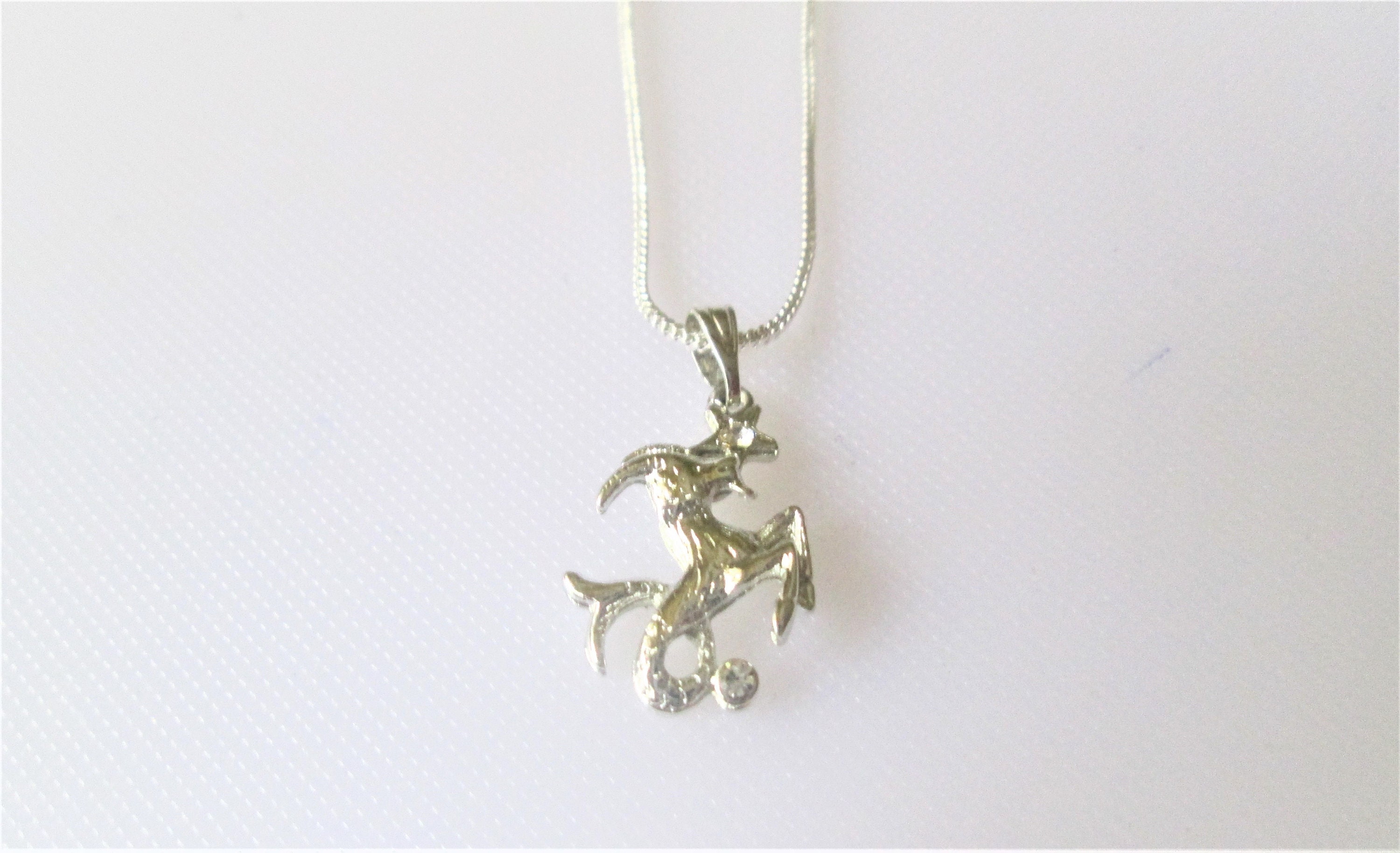 Capricorn Gift Zodiac Set for Birthdates22nd Dec. to 19th Etsy