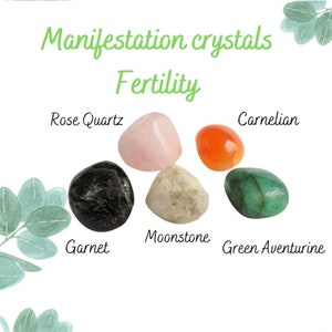 Conjunto de manifestación / Cristales establecido para la fertilidad / Alcanzar la fertilidad segura / 5 cristales encantadores en la caja de regalo / Crystal Propiedades tarjeta de información