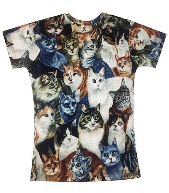 chocolate labrador guide dog