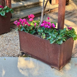 Puede incluir: Una jardinera rectangular de metal envejecido llena de vibrantes flores de ciclamen rosa y follaje verde. La jardinera se encuentra sobre una superficie de hormigón, con una terraza de madera y grava en el fondo. Un tronco de árbol se eleva desde la jardinera.