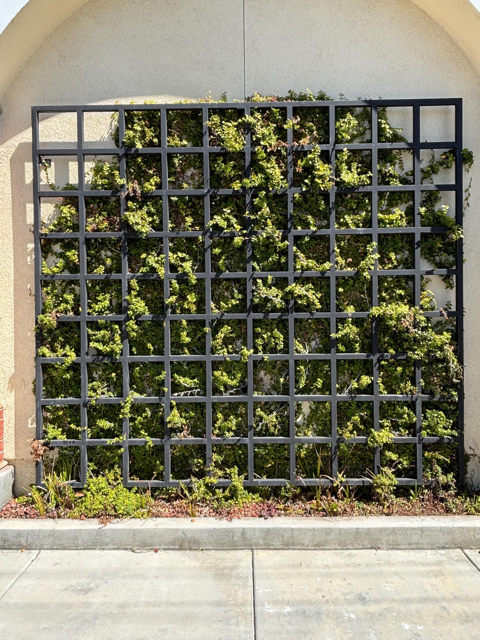 Classic Square Bar Trellis, Square Gridwall Panel, Heavy Duty Metal ...
