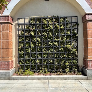 May include: A black metal trellis with green vines growing through it. The trellis is mounted on a brick wall with an arched doorway above it.