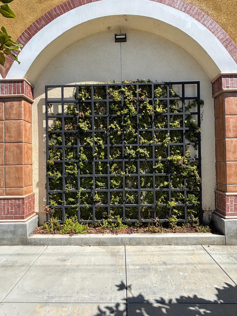May include: A black metal trellis with green vines growing through it. The trellis is mounted on a brick wall with an arched doorway above it.