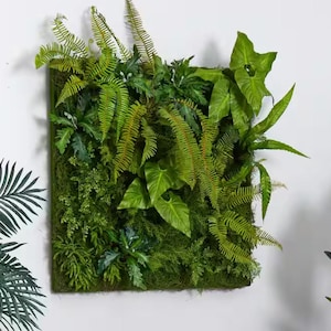May include: A square, artificial green wall panel featuring a variety of lush, vibrant green plants. The panel includes ferns, broad-leaf plants, and moss, creating a dense, textured display. The plants are arranged to create a natural, organic look, perfect for indoor decor.