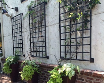 Classic Square Bar Trellis, Square Gridwall Panel, Heavy Duty Metal Trellis Wall Mounted / Staked, Plant Vertical Growth Live Wall Trellis