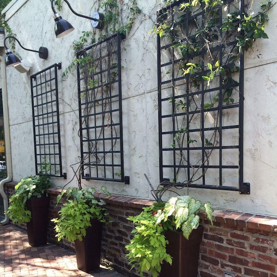 Classic Square Bar Trellis, Square Gridwall Panel, Heavy Duty Metal Trellis Wall Mounted / Staked, Plant Vertical Growth Live Wall Trellis